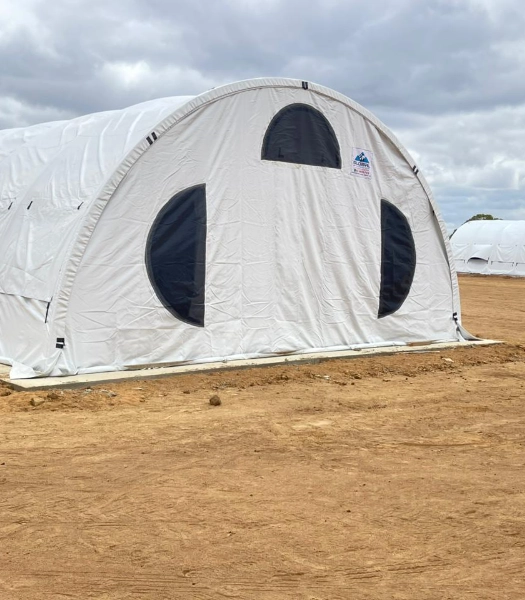 tendacarpa03